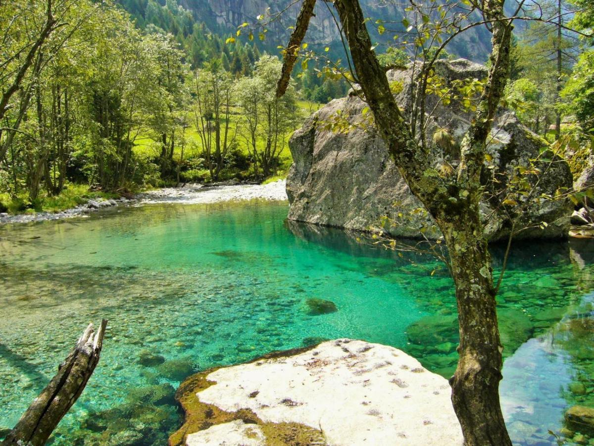 Appartamento Il Nido Tra Verde E Natura Berbenno di Valtellina Extérieur photo